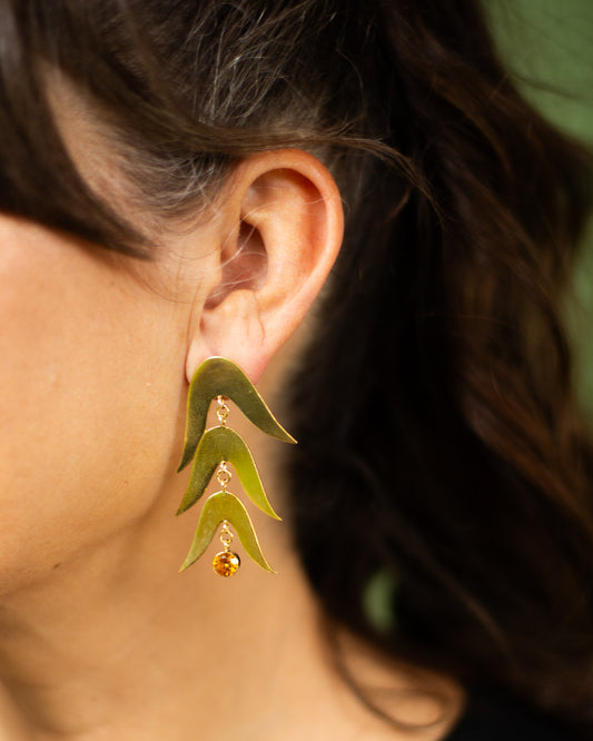 Golden Wattle Drop Gold